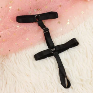 Accessoire fétichiste